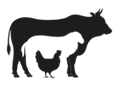 Livestock Farming